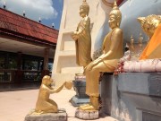 The Offering Monkey.